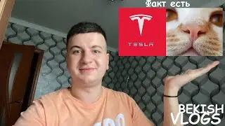 Факт тесла марк как у кот нос
