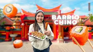 PROBANDO COMIDA CALLEJERA DE BARRIÓ CHINO🇨🇳🇦🇷BUENOS AIRES