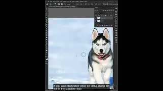 how to move anything in photoshop