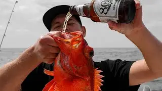 ROCKFISH, HALIBUT & COLD ONES