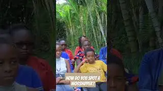 How do you notice a Worshipper?