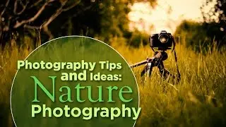 Photography Tips and Ideas: Nature Photography