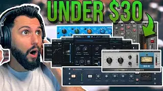 Black Friday Plugin Deals You CAN'T Miss 💰