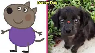 Cartoon Peppa Pig (In Real Life) 