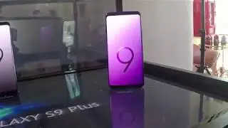 Interactive Premium Display