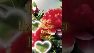 Доброе утро