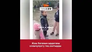 Бул бала ырдаганда ырчылар жолдо калат