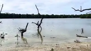 Lagoon, Mustique