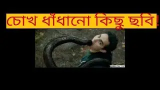 বিশ্বের অলৌকিক কিছু ছবি! ২০১৯ || RockTheRoad