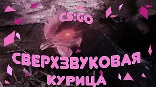(CS:GO) украинцы и село