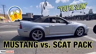 2016 Scat Pack Challenger vs Pack of 2V Mustang | ScattyVlogs