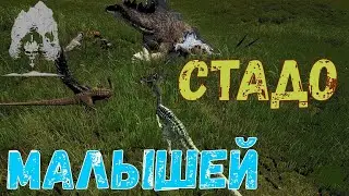 ИГРАЮ ЗА ДРИОЗАВРА И У НАС БОЛЬШОЕ СТАДО ДЕТЕНЫШЕЙ The Isle Evrima
