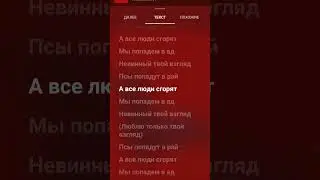 псы попадут в рай