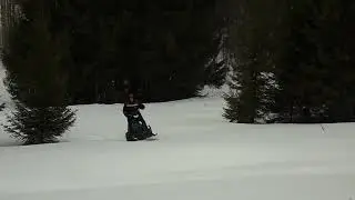 Уральская тайга.