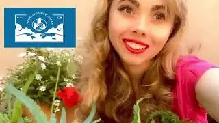 וולגרים של ישראל והעולם  -2023/2024 GLOBE Student Vloggers