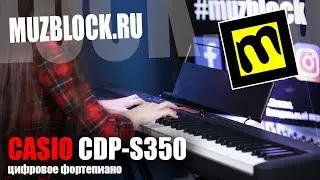 Casio CDP-S350 - обзор цифрового фортепиано
