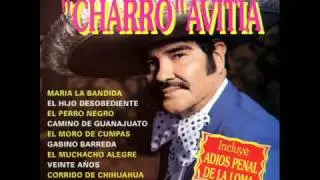 Francisco el Charro Avitia El Tarugazo