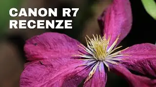 Canon EOS R7 - podrobná recenze a test v 4K