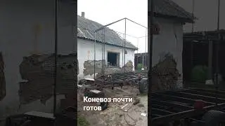 Развитие событий на ТГ-Кот в сметане #деревня #животные #cow #коневодство #прицеп #белгород