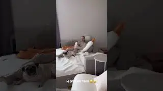 АНЯ ИЩУК ДИМАС БЛОГ ТЕО И ТИМ 