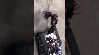 Robot Catching Hex Bugs