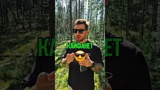 СПАРРИНГ С ЖЕНЩИНАМИ