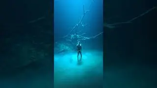 My Favourite Cenote in Mexico! #DeepWeek