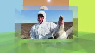 Охота на кабана.