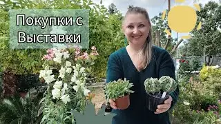 Мои новинки с Выставки в Кифисье 🪴                                 