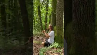Flute Music in a Fairy Forest | Luka