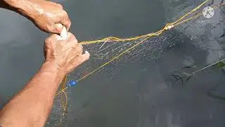 Paano manghuli ng isang baldeng isda? by Clarence Glee TV ( anak pawis tv)