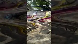 Kontes sepeda motor