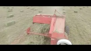 Прессуем второй укос! До сих пор!