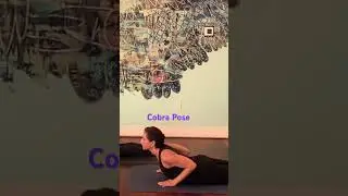 Hot Yoga's COBRA Pose