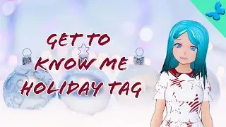 Get to Know Me Holiday Tag | Vlogmas Day 18 | Authortube