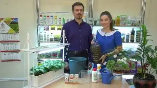 Подкормки растений и рассады удобрениями Богатый и Богатый Микро