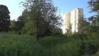 Ракета и яхта на канале, г Долгопрудный