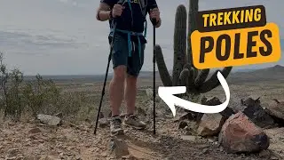 Best Budget Trekking Poles: TrailBuddy Trekking Poles