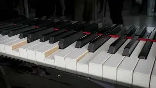 piano music |piano music for sleeping |soft piano music
