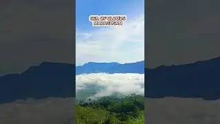 sea of Clouds Maragusan