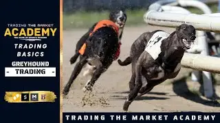Greyhound Trading Basics