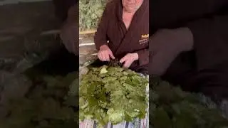 Банные веники в Суздале создают только своими руками🌿