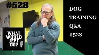 Clicker Training Dogs | Training Aggressive Dogs | What Would Jeff Do? Dog Training Q & A 