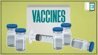 What are Vaccines & how they are made? | Oxford Secondary Science | eLearn K12