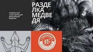 Одобрено Спиридоновым: медведь: как снять шкуру, разделать и взять пробы на трихинеллез