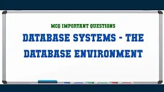 Database Systems - The Database Environment MCQ Questions