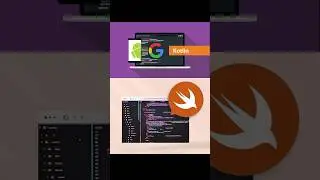 Which Programming Language Should i Learn! 
