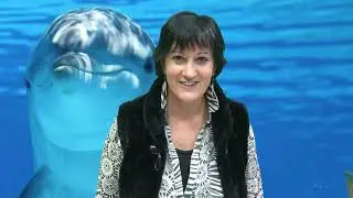Video Announcement January 2022