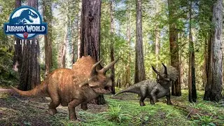 Jurassic World Alive Triceratops and Triceratops Gen 2