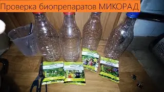 ВЫРАЩИВАЮ БИОПРЕПАРАТЫ. Проверка МИКОРАД.